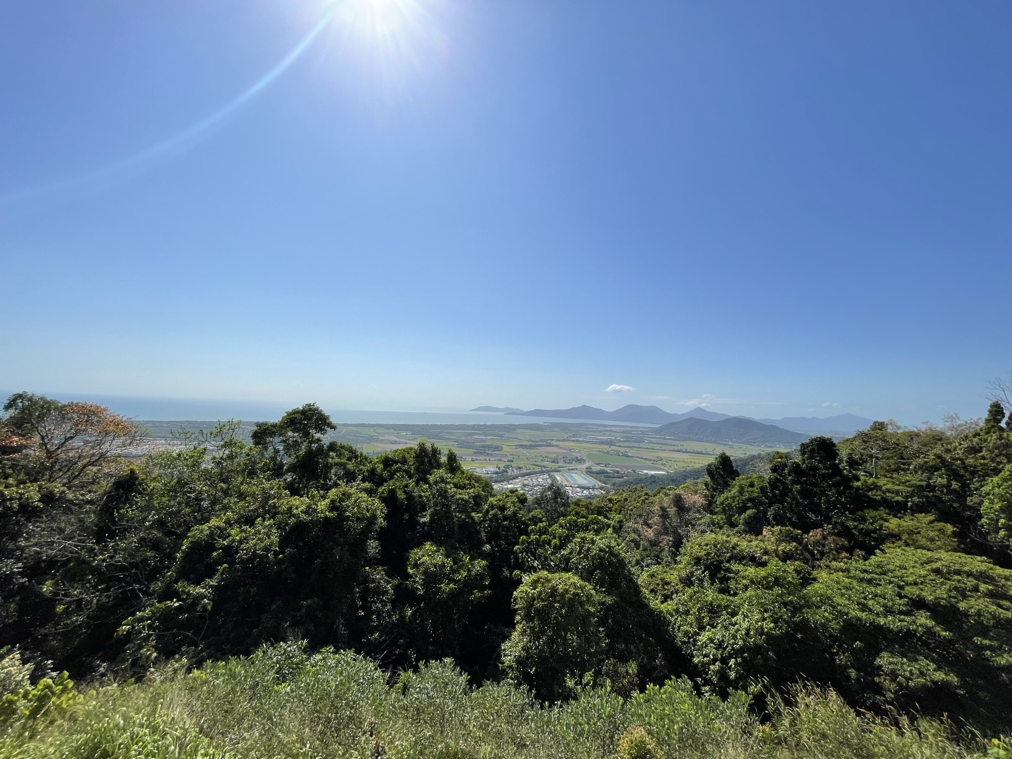 The view over Cairns — cane fields, inlet and ranges